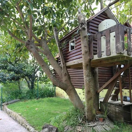 بيت للعطل Quinta Da Paz سينترا